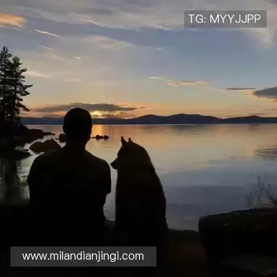 窦恋海